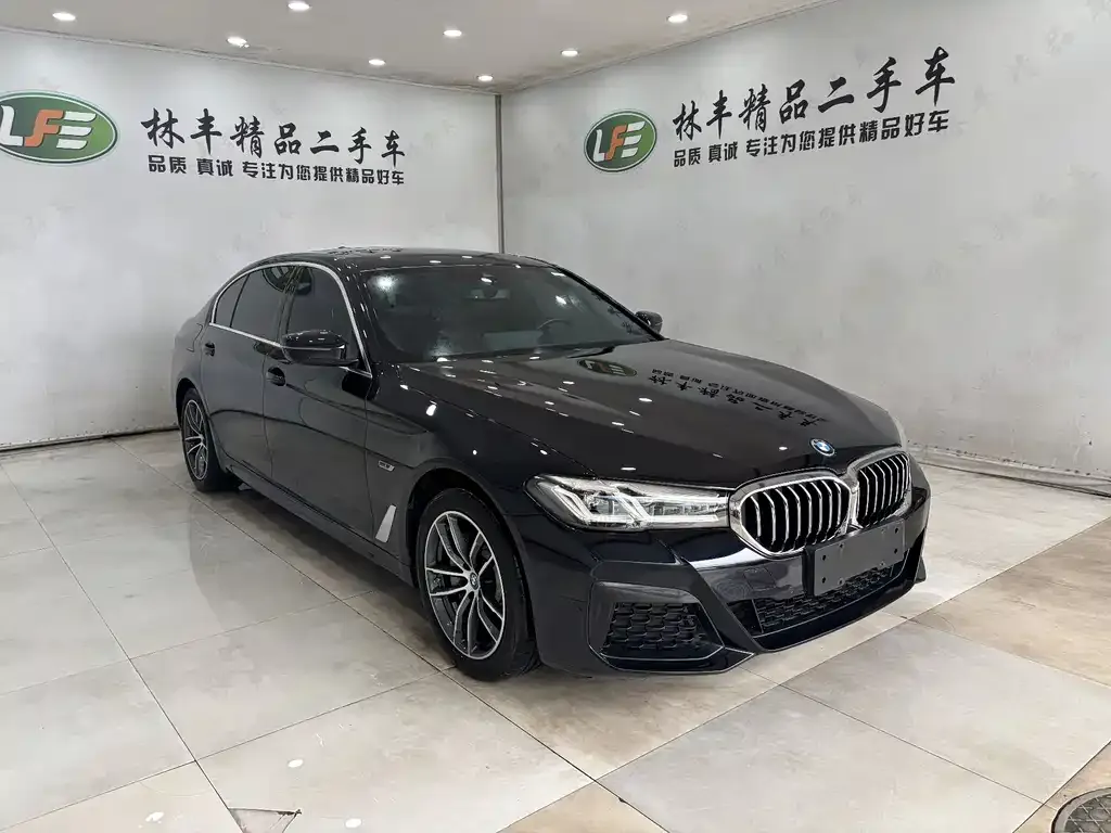 BMW 5 Series New Energy 2023 из CN, фото 4