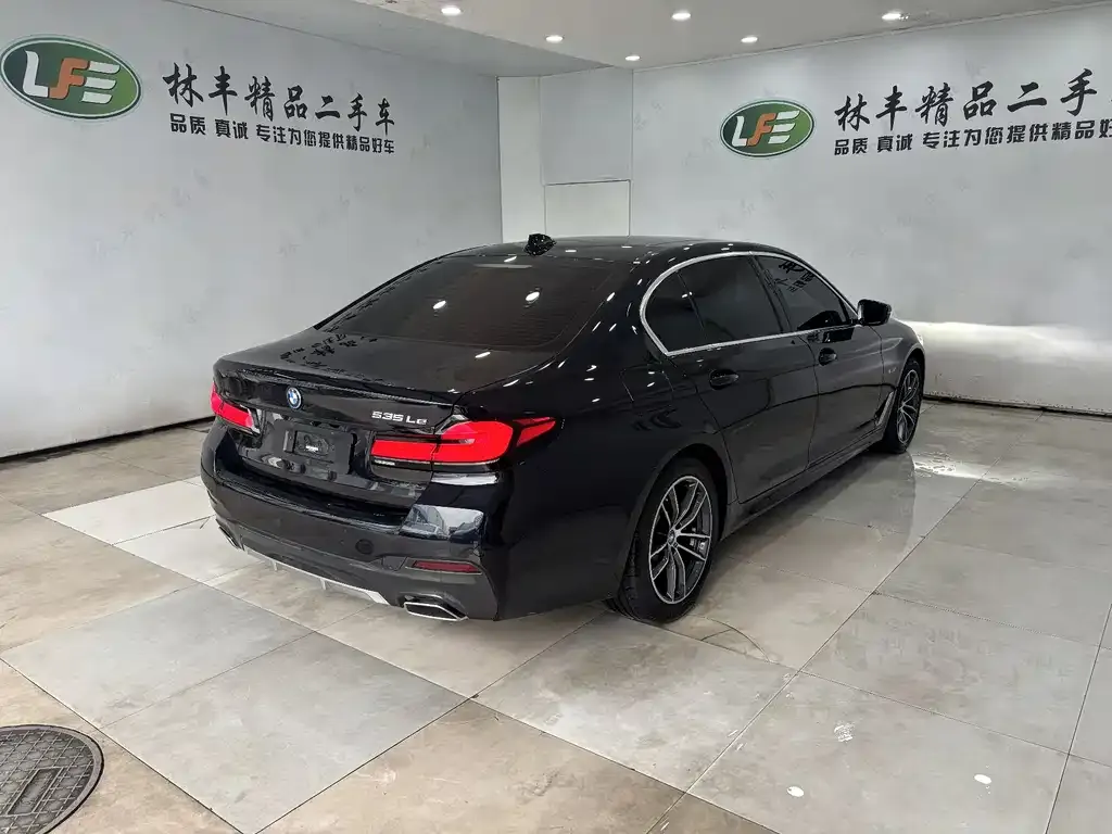 BMW 5 Series New Energy 2023 из CN, фото 6