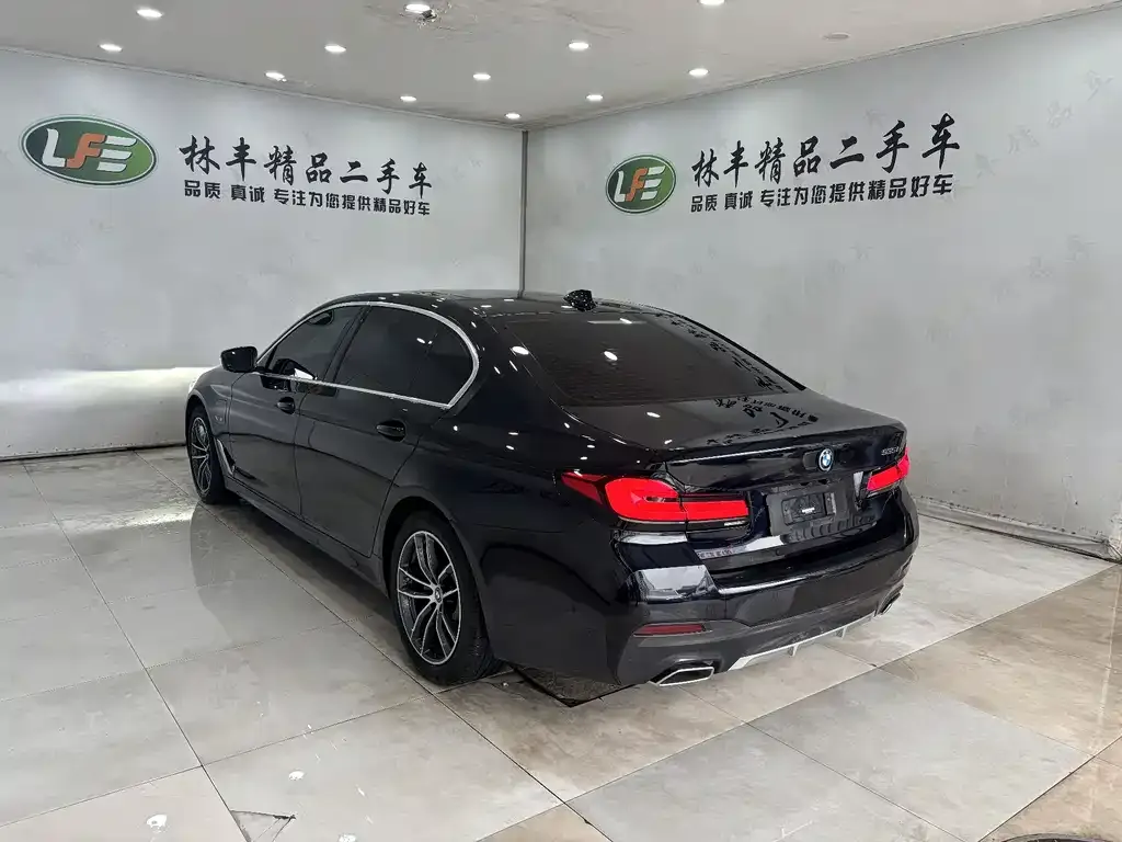 BMW 5 Series New Energy 2023 из CN, фото 8