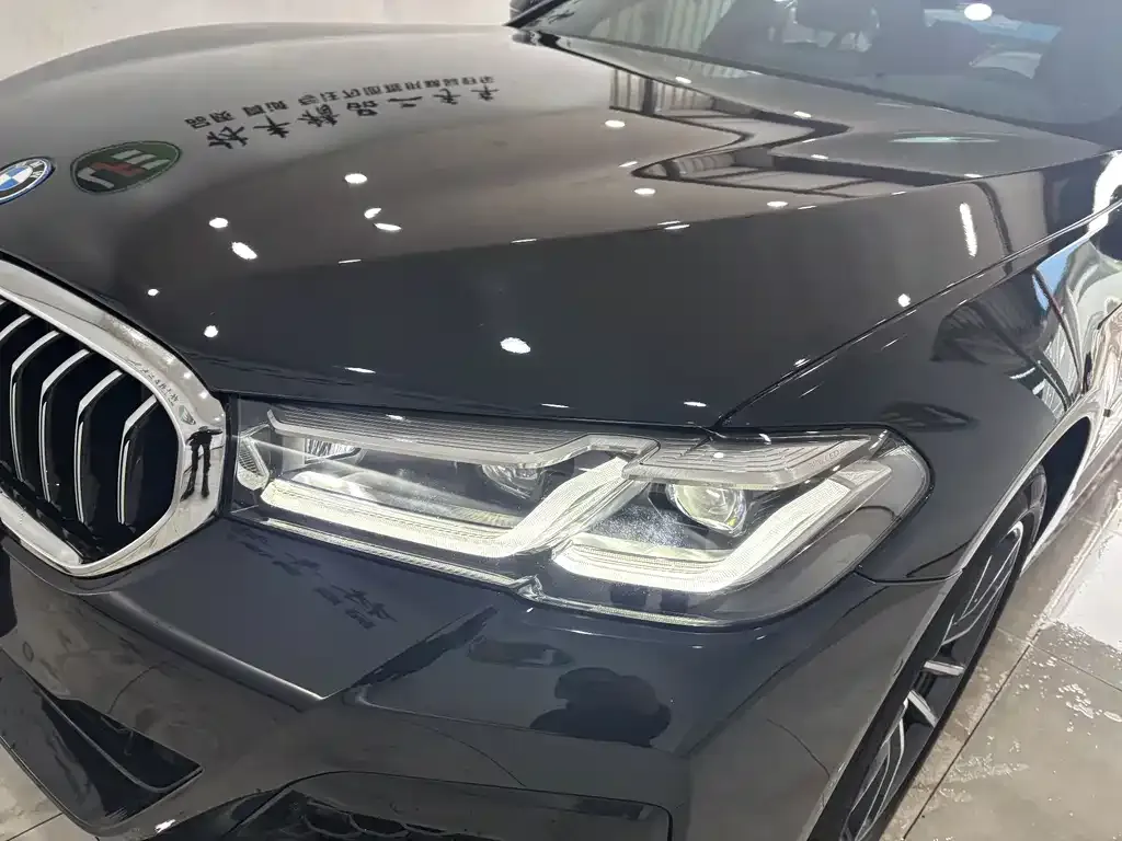 BMW 5 Series New Energy 2023 из CN, фото 9