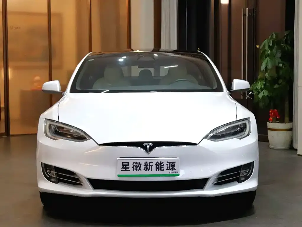 Tesla Model S 2021 из CN, фото 3