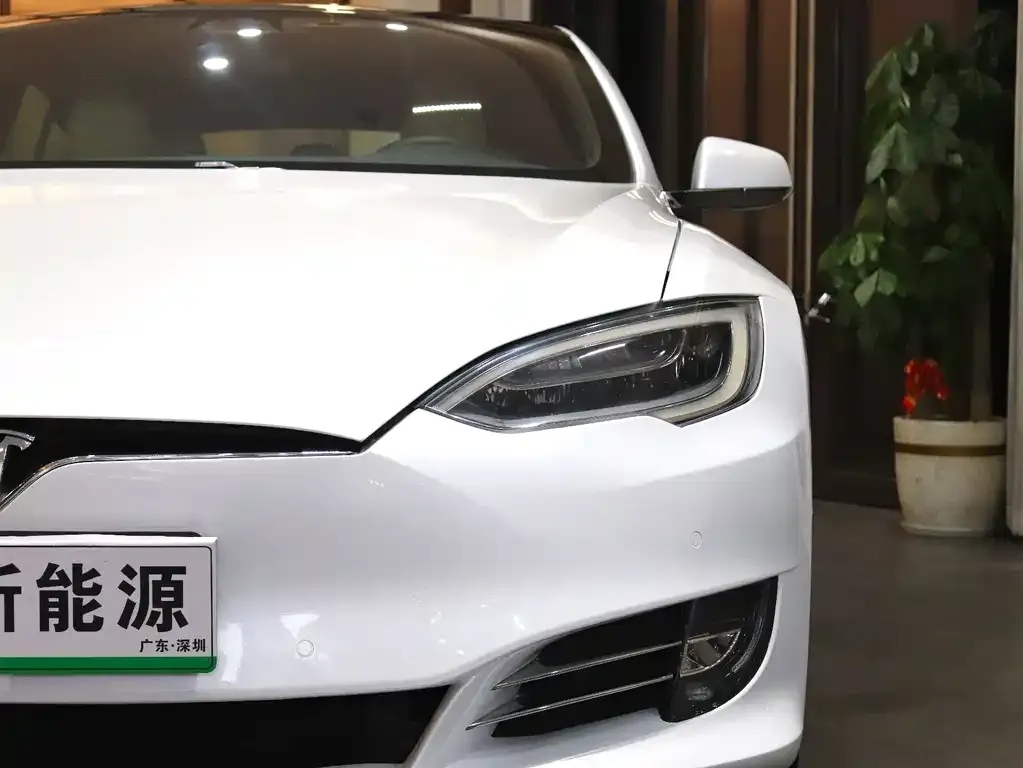 Tesla Model S 2021 из CN, фото 6