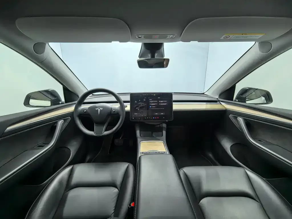 Tesla Model Y — фото 10