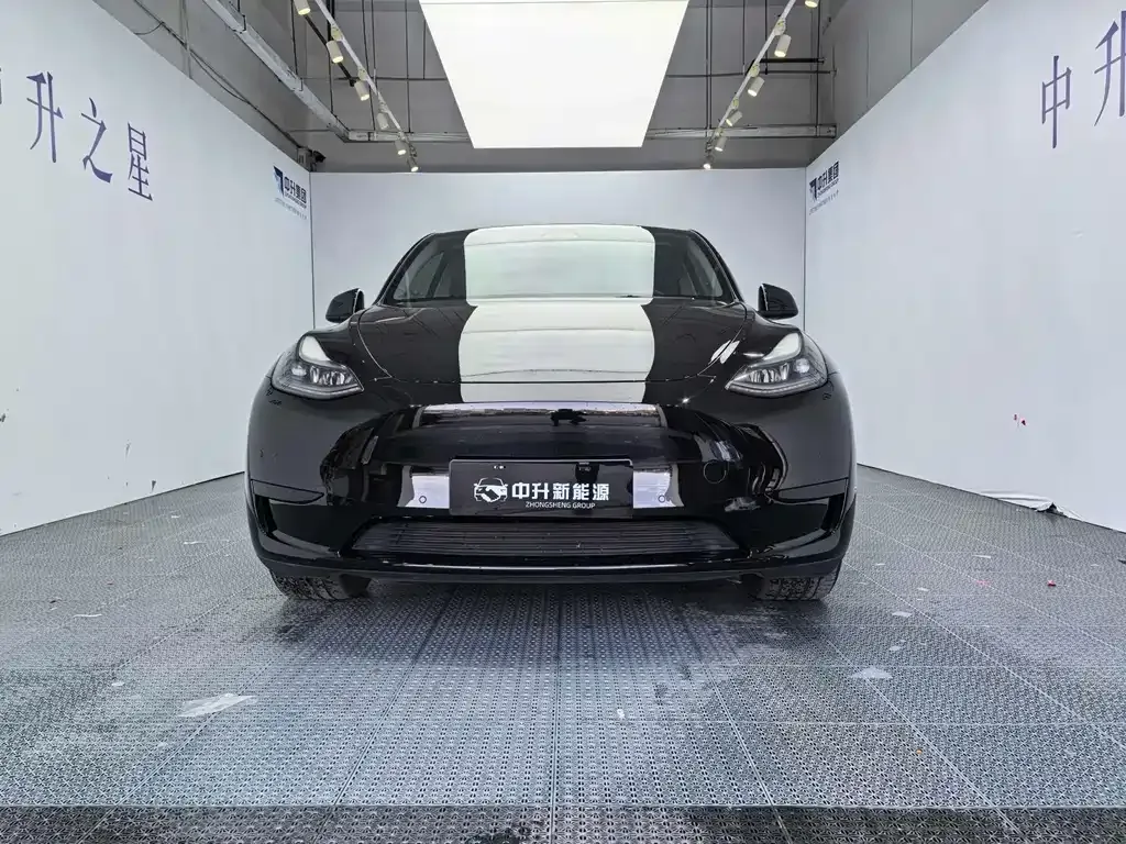 Tesla Model Y — фото 2