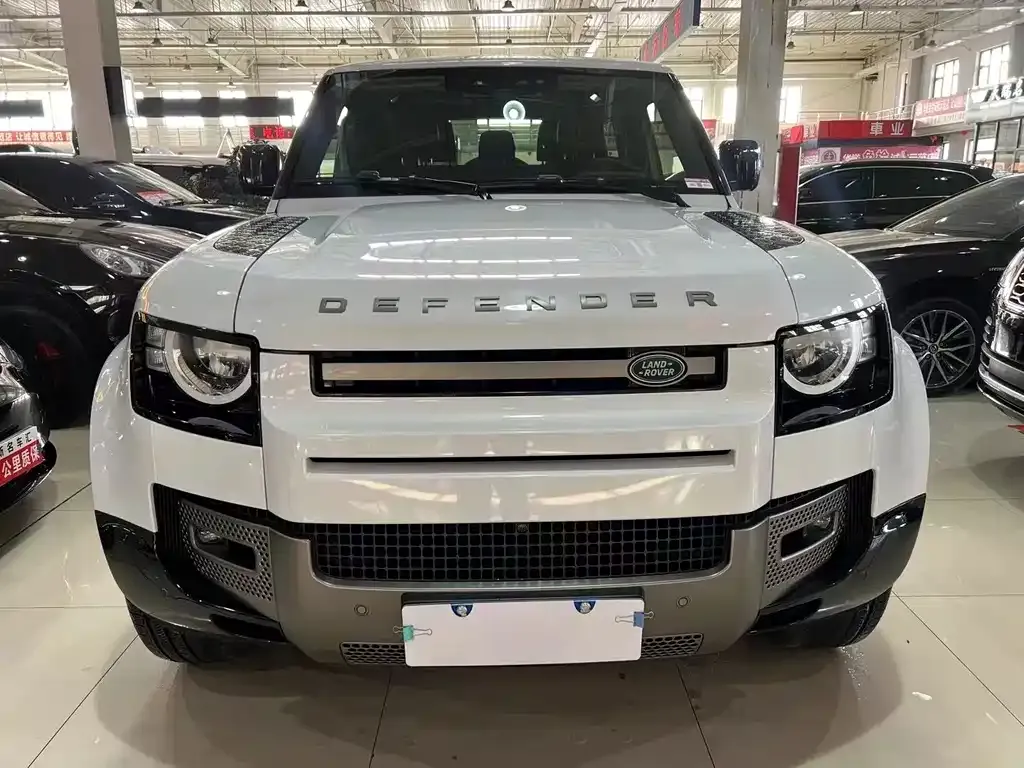 Land Rover Defender 2021 из CN, фото 2