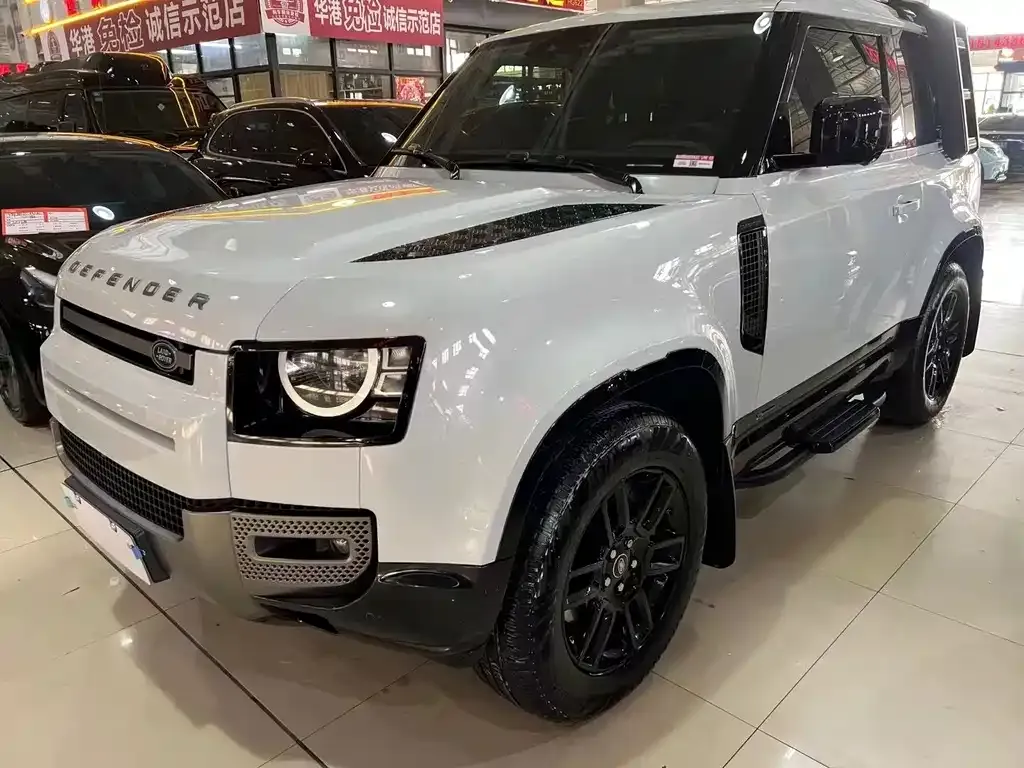 Land Rover Defender 2021 из CN, фото 3