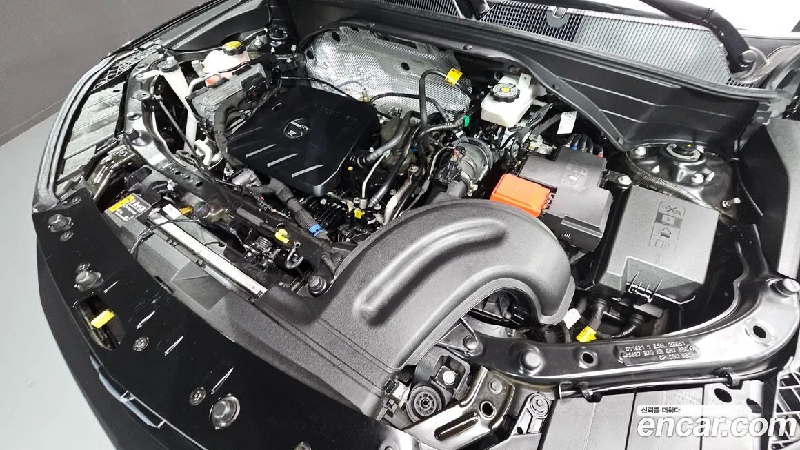 Chevrolet (GM Daewoo) Trailblazer 2022 из KR, фото 6