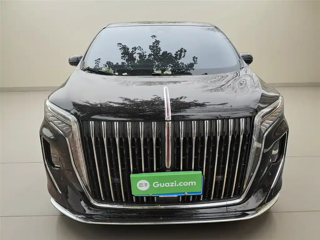 Hongqi HQ9 2023 из CN, фото 3