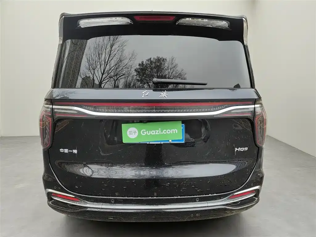 Hongqi HQ9 2023 из CN, фото 6