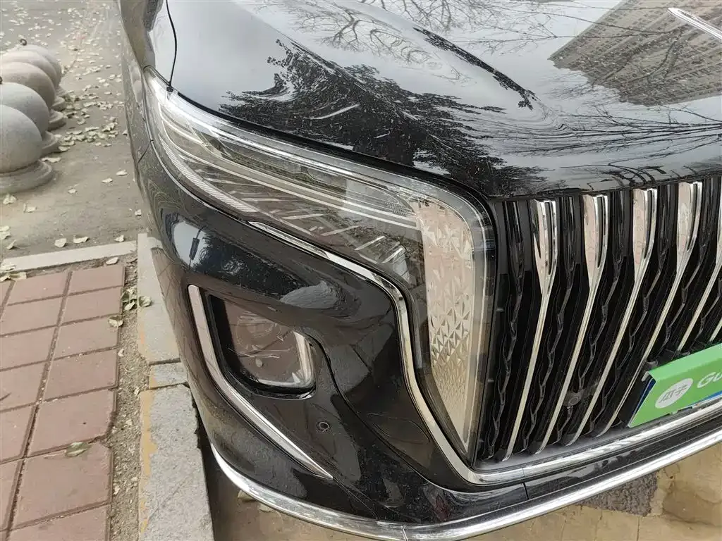 Hongqi HQ9 2023 из CN, фото 8