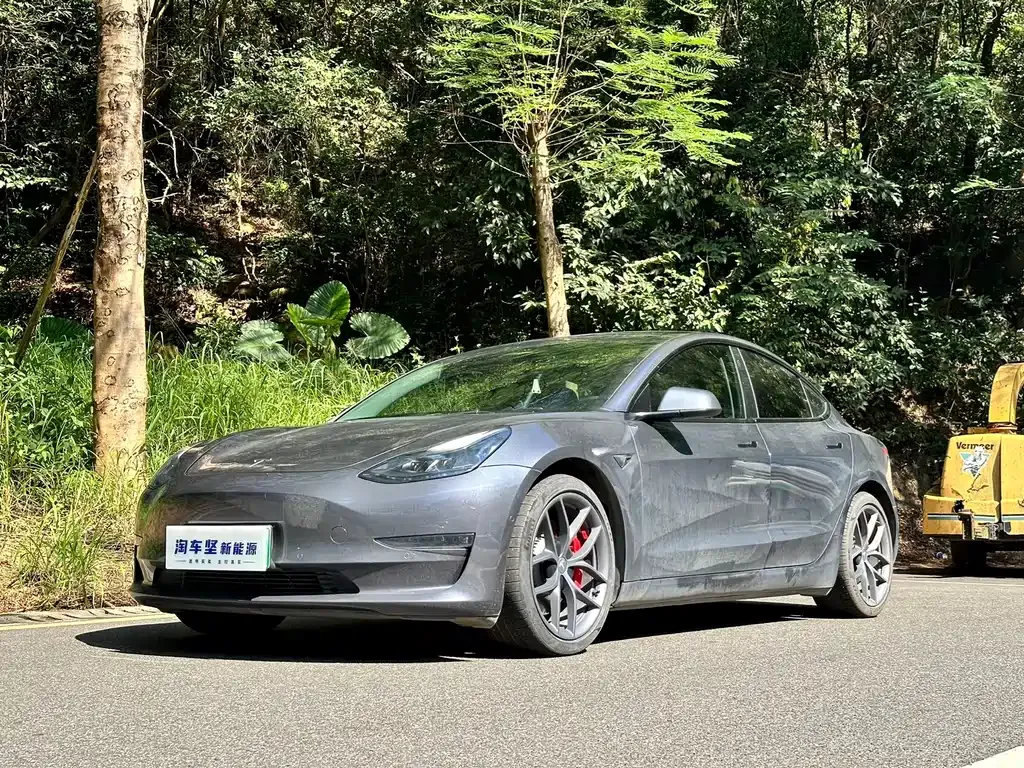 Tesla Model 3 2021 из CN, фото 1