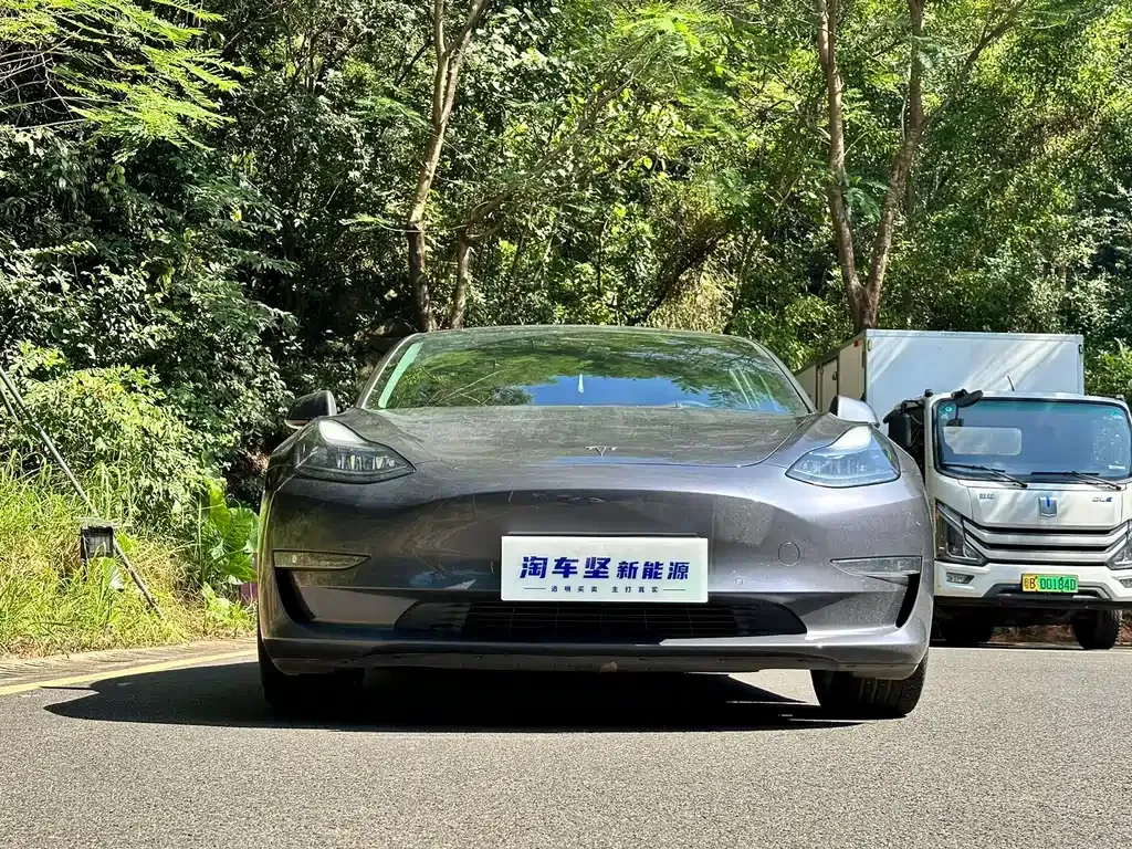 Tesla Model 3 2021 из CN, фото 2