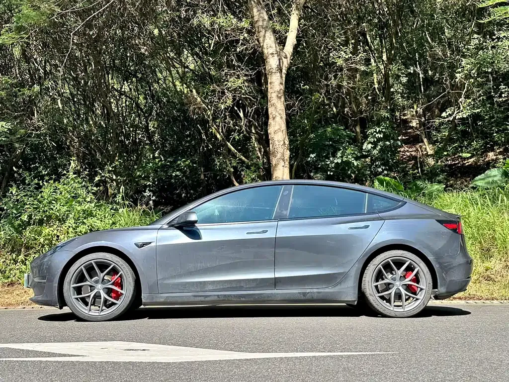 Tesla Model 3 2021 из CN, фото 3