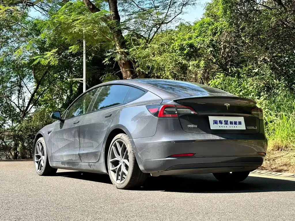 Tesla Model 3 2021 из CN, фото 4
