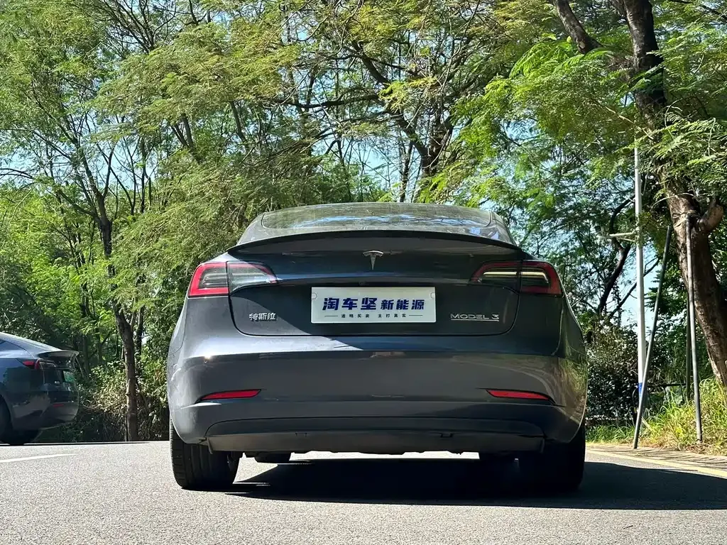 Tesla Model 3 2021 из CN, фото 5