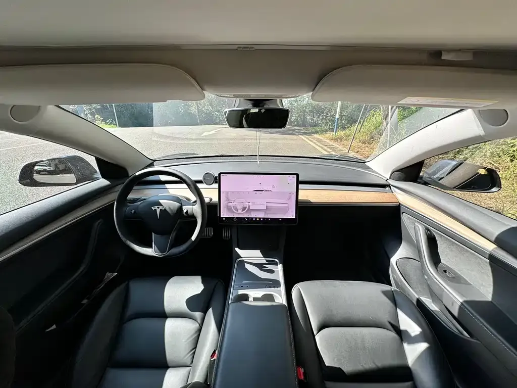Tesla Model 3 2021 из CN, фото 6