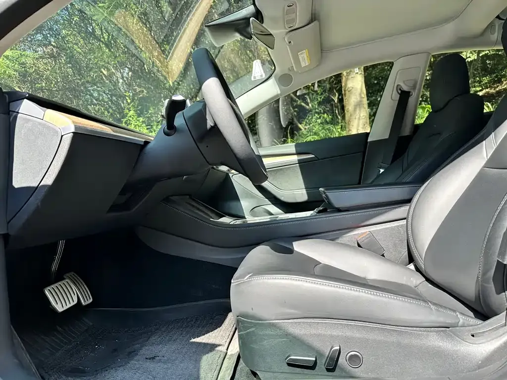 Tesla Model 3 2021 из CN, фото 7