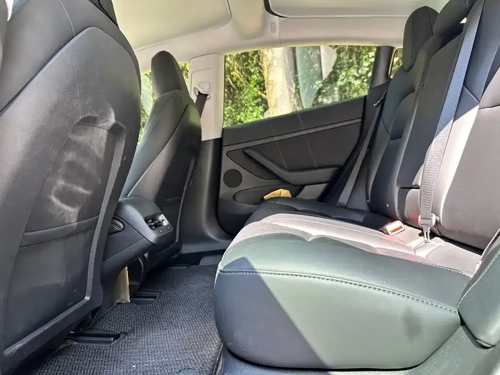 Tesla Model 3 2021 из CN, фото 8
