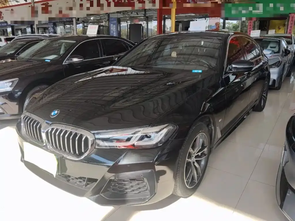 BMW 5 Series 2022 из CN, фото 1