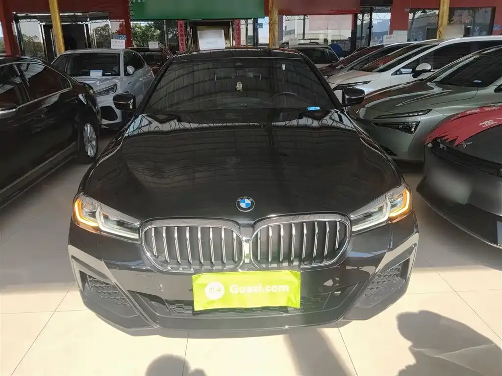 BMW 5 Series 2022 из CN, фото 3