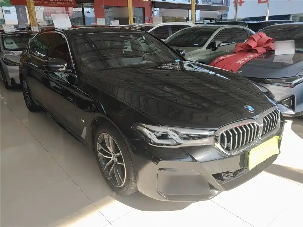 BMW 5 Series 2022 из CN, фото 4