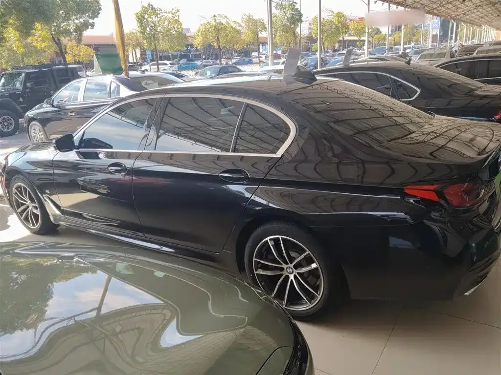 BMW 5 Series 2022 из CN, фото 5