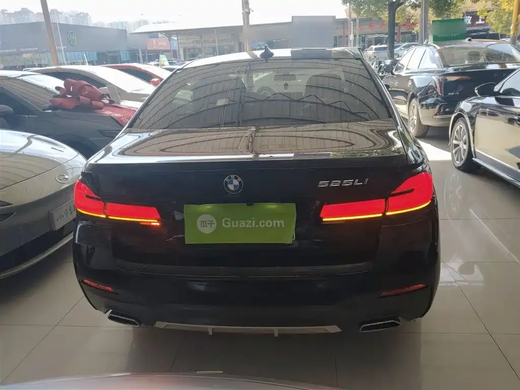 BMW 5 Series 2022 из CN, фото 6