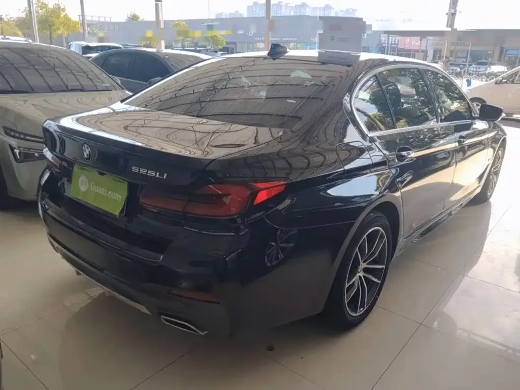 BMW 5 Series 2022 из CN, фото 7