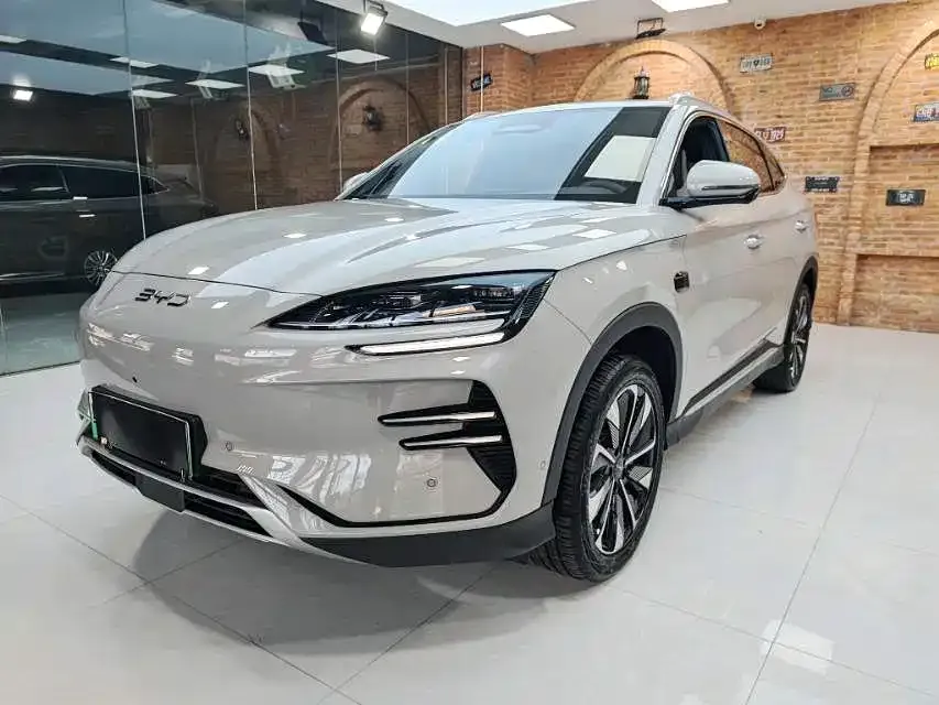BYD PLUS New Energy 2025 из CN, фото 1