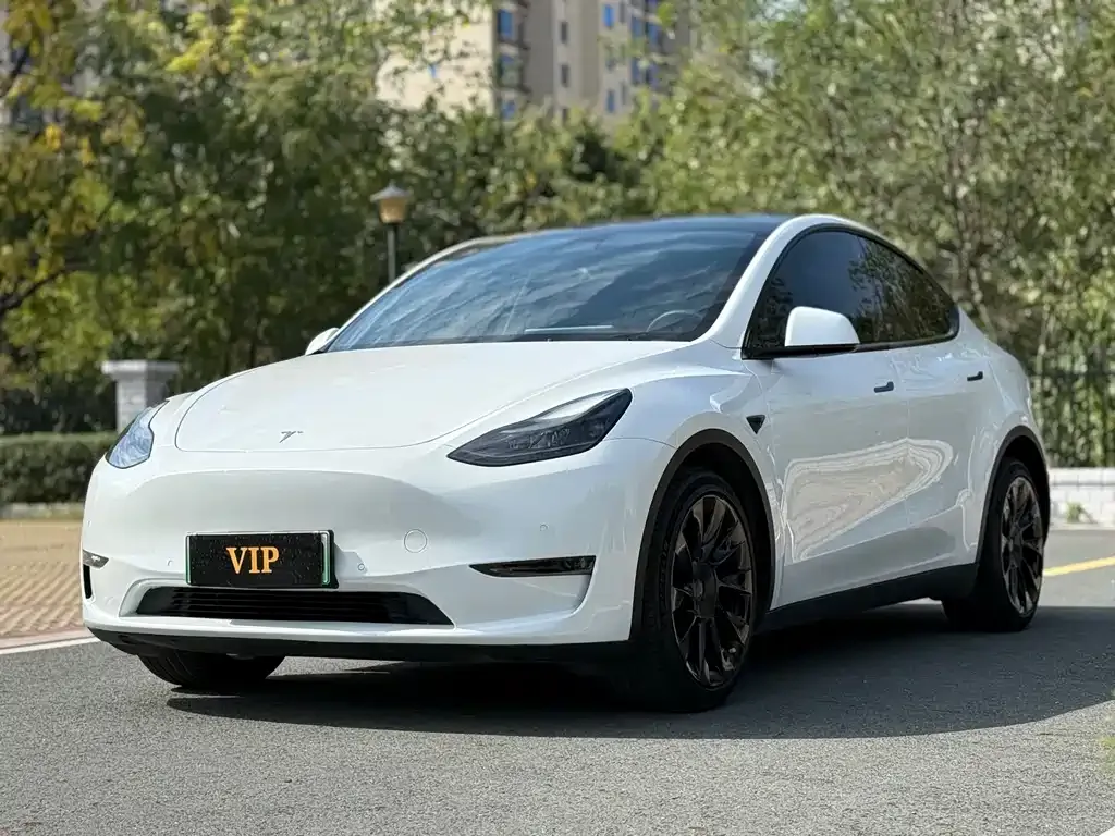 Tesla Model Y 2021 из CN, фото 1