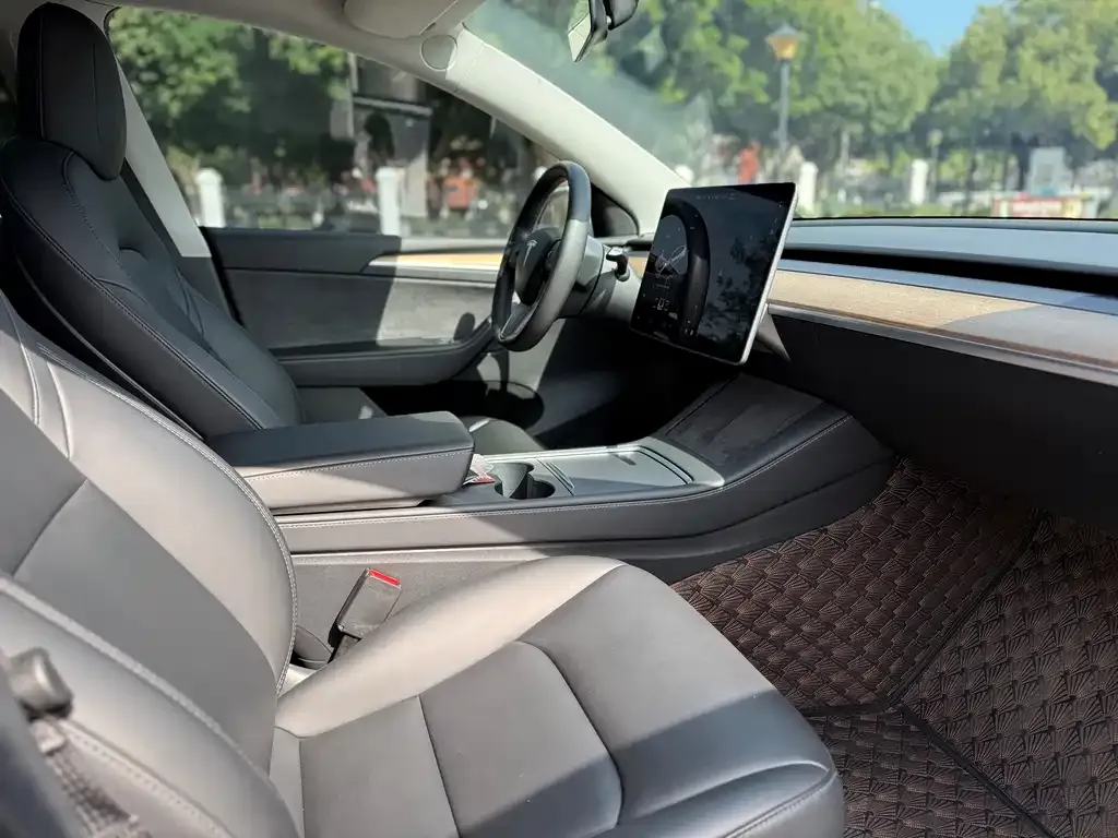 Tesla Model Y 2021 из CN, фото 10