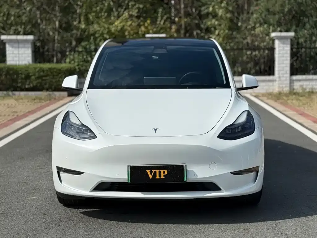 Tesla Model Y 2021 из CN, фото 2