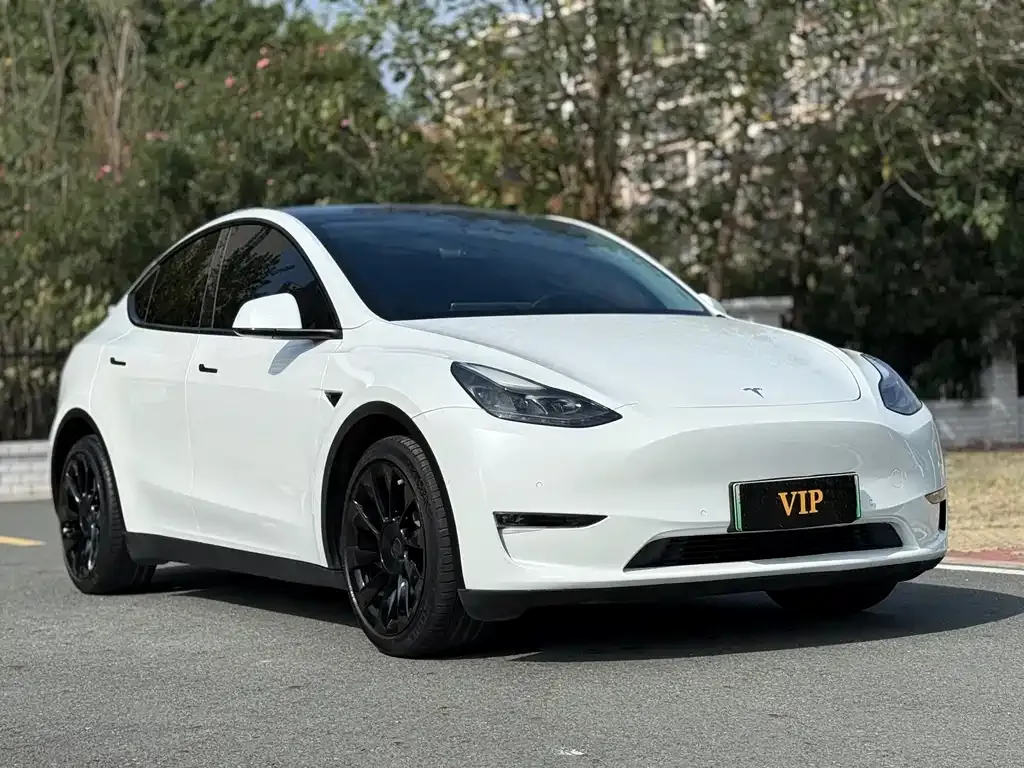 Tesla Model Y 2021 из CN, фото 3