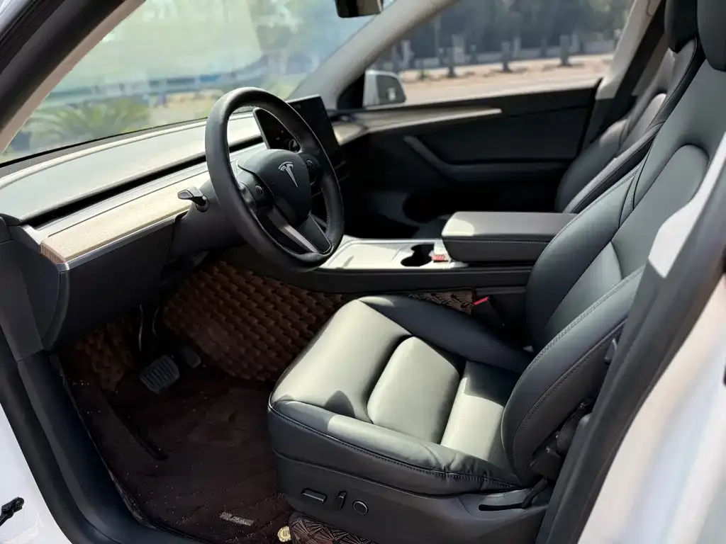 Tesla Model Y 2021 из CN, фото 4