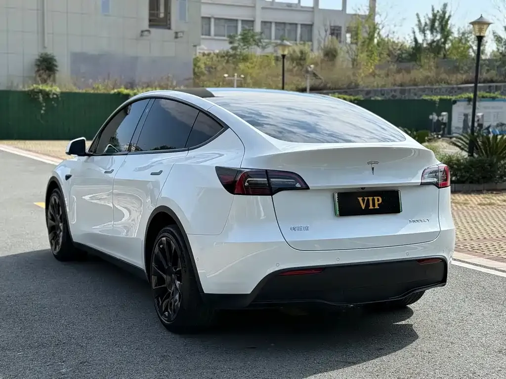 Tesla Model Y 2021 из CN, фото 7