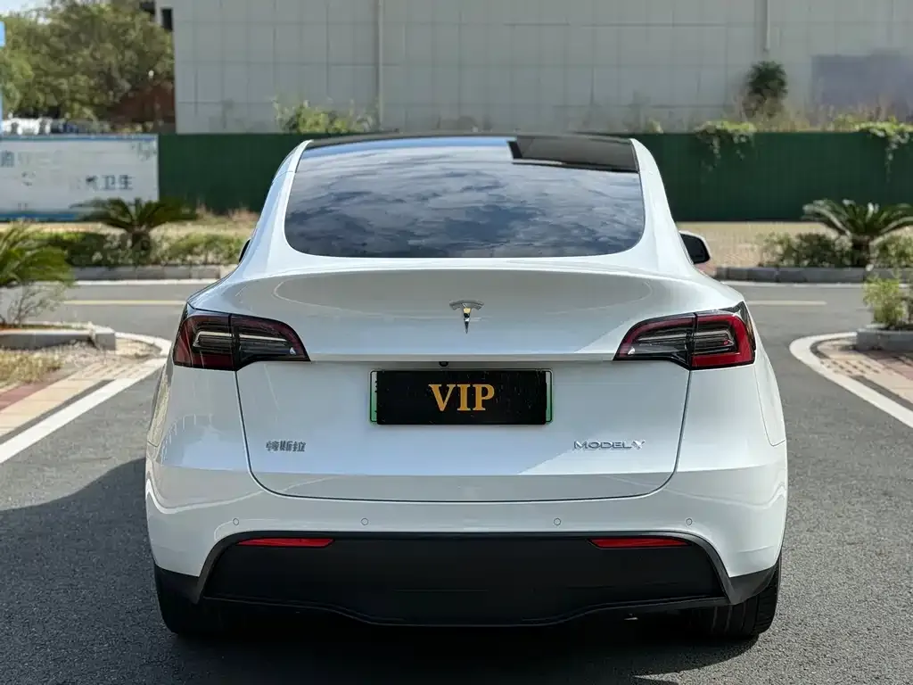 Tesla Model Y 2021 из CN, фото 8