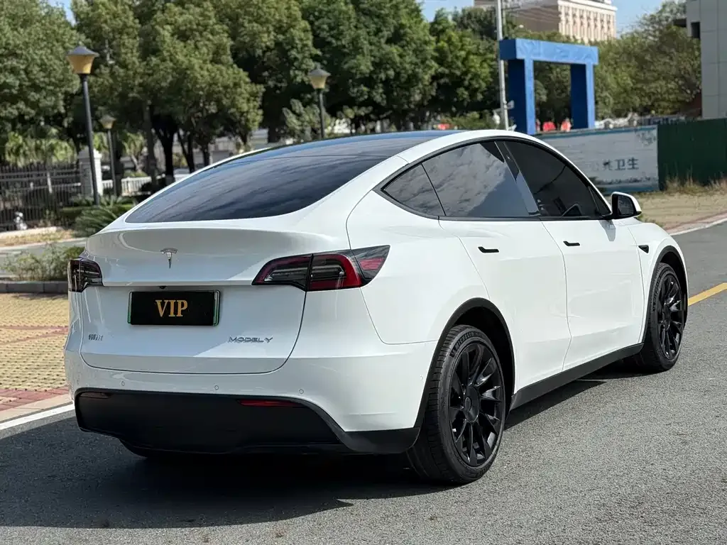Tesla Model Y 2021 из CN, фото 9