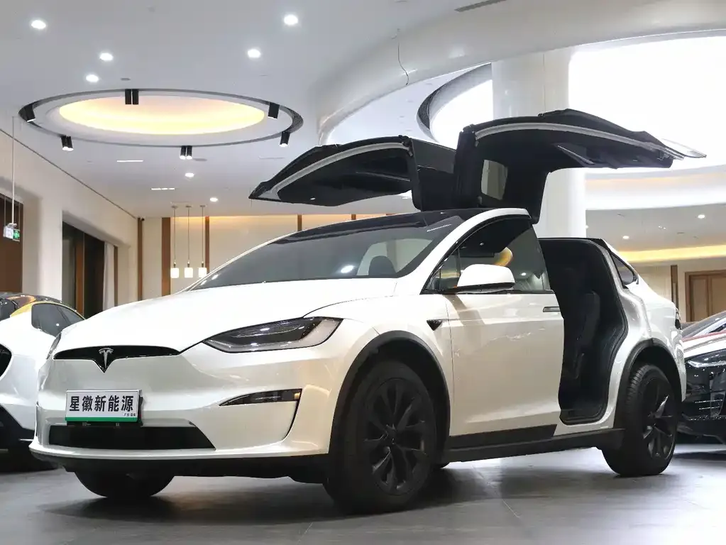Tesla Model X 2023 из CN, фото 1