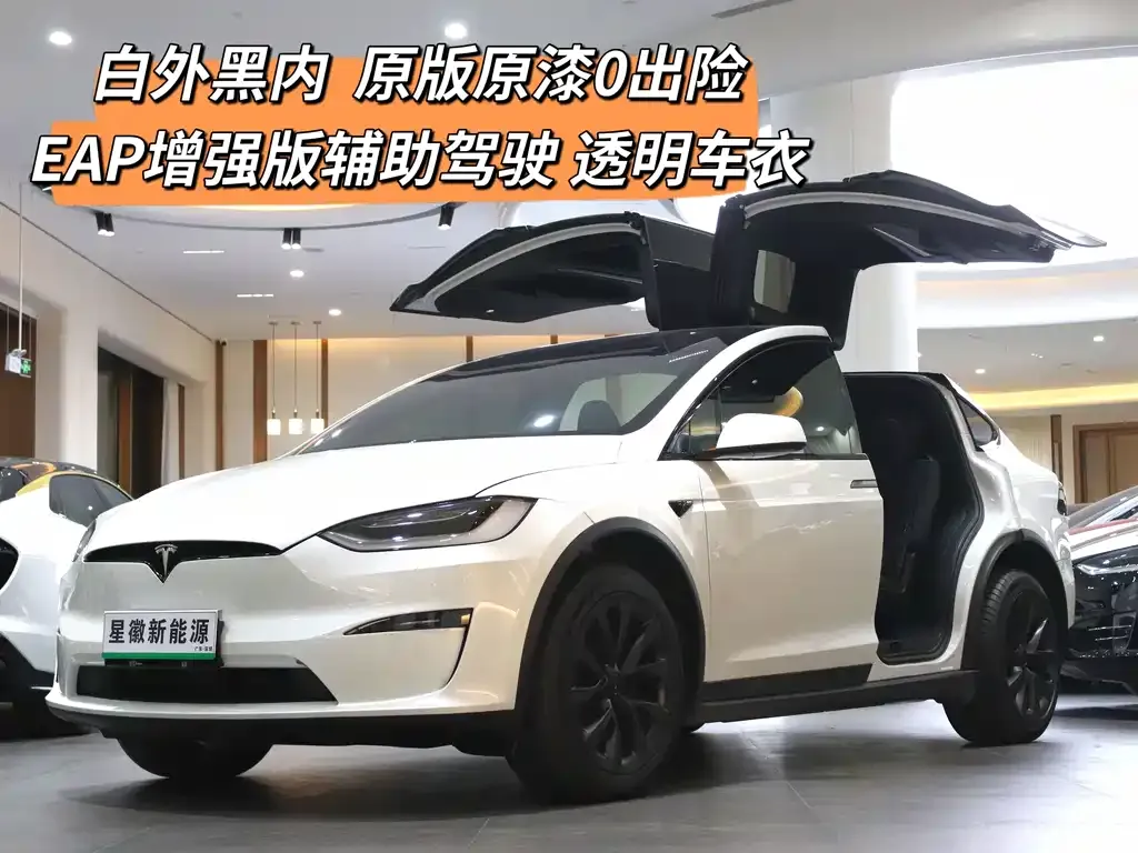 Tesla Model X 2023 из CN, фото 2