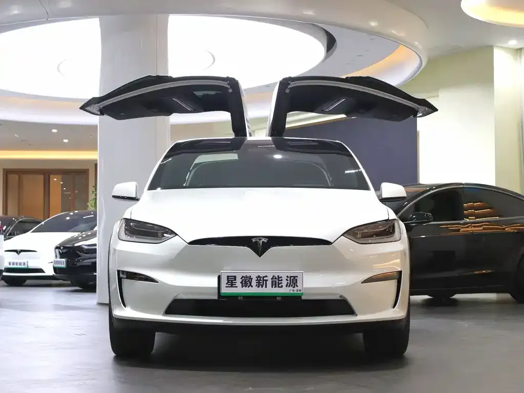 Tesla Model X 2023 из CN, фото 3