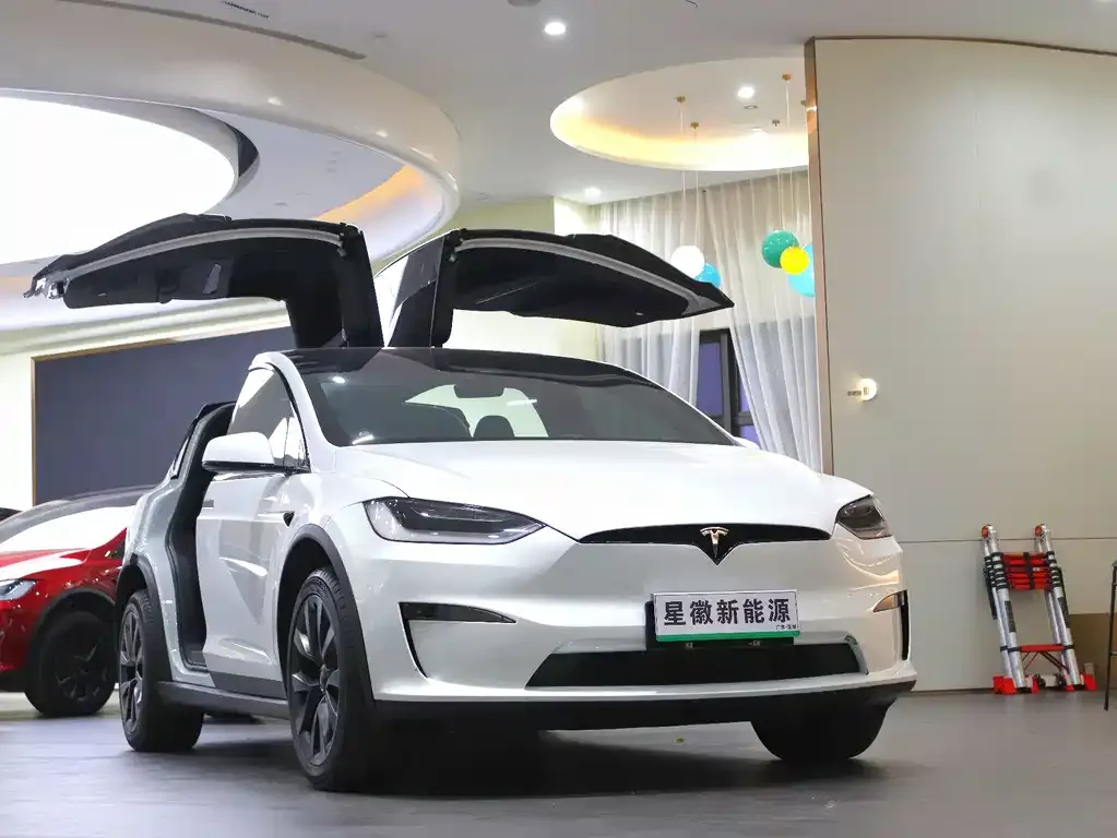Tesla Model X 2023 из CN, фото 4