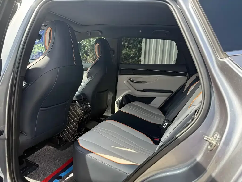 BYD PLUS New Energy 2021 из CN, фото 6