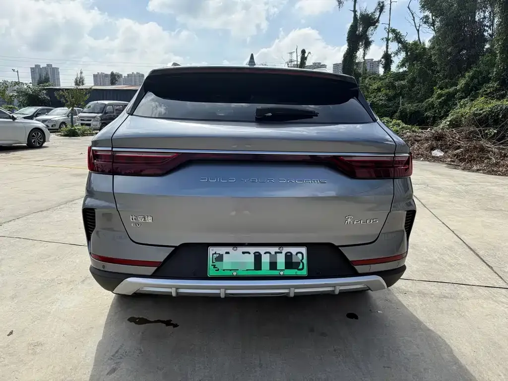 BYD PLUS New Energy 2021 из CN, фото 8
