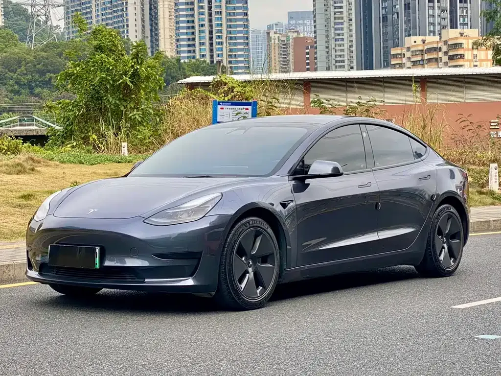 Tesla Model 3 2021 из CN, фото 1