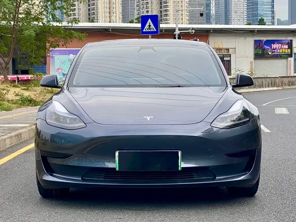 Tesla Model 3 2021 из CN, фото 2