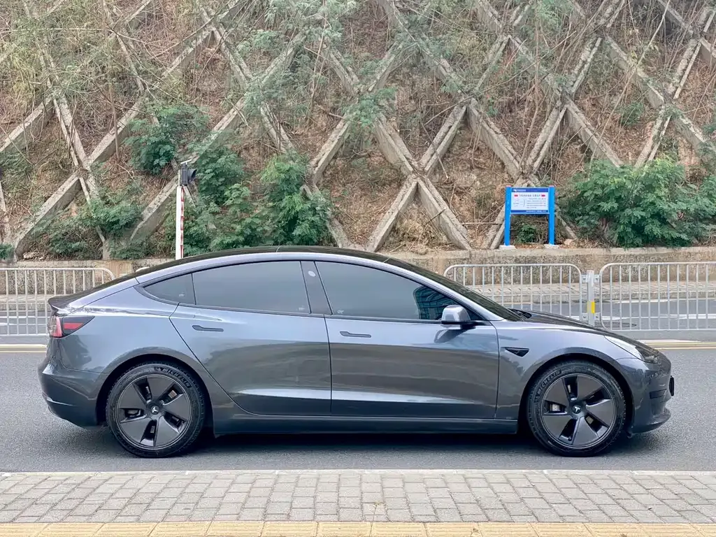 Tesla Model 3 2021 из CN, фото 4