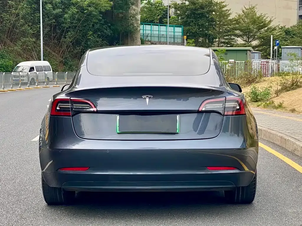 Tesla Model 3 2021 из CN, фото 6