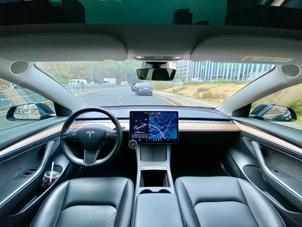 Tesla Model 3 2021 из CN, фото 8
