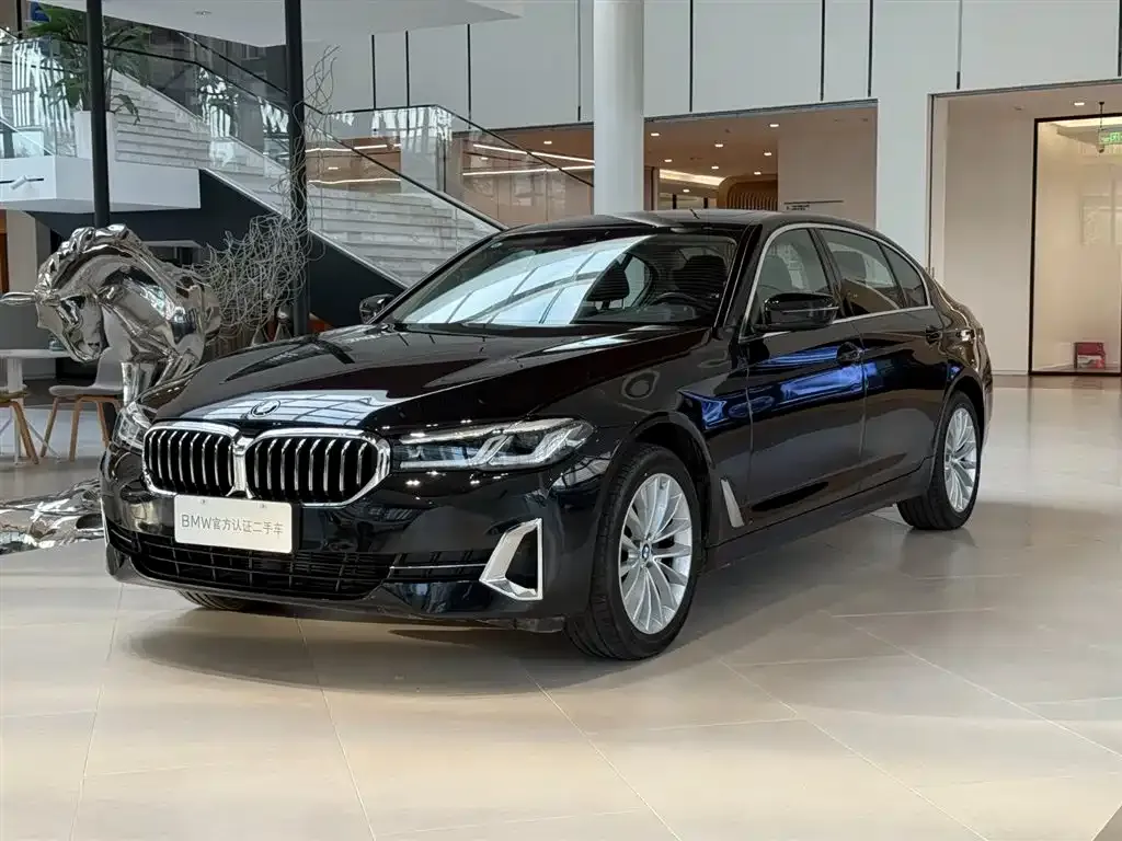 BMW 5 Series 2024 из CN, фото 1