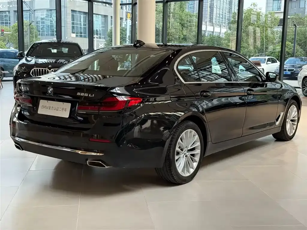 BMW 5 Series 2024 из CN, фото 10